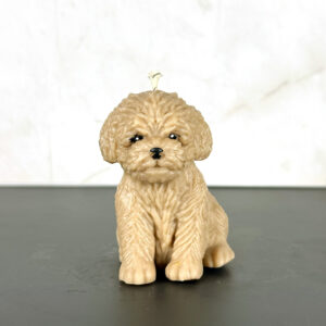 Perro pa’ su mecha