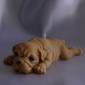 Perro Sharpei